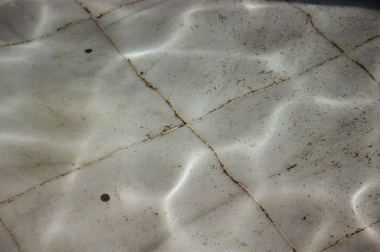 dirt in pool