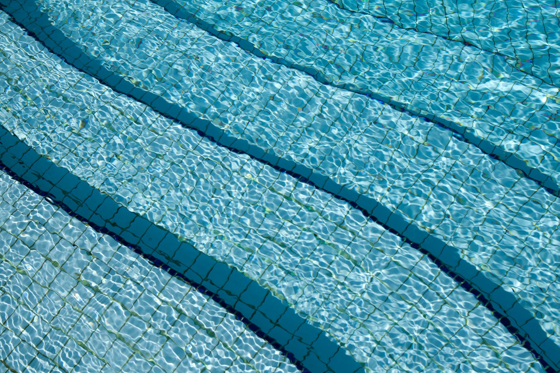 pollen in pool