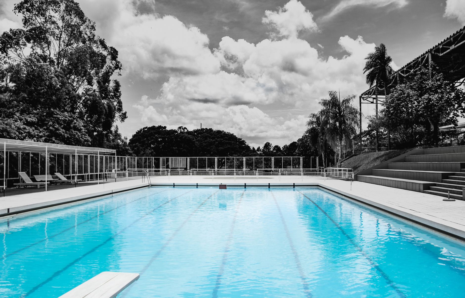 pool clarifier