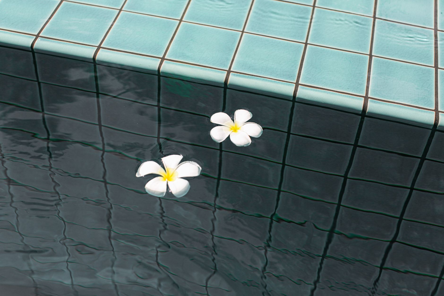 pool coping